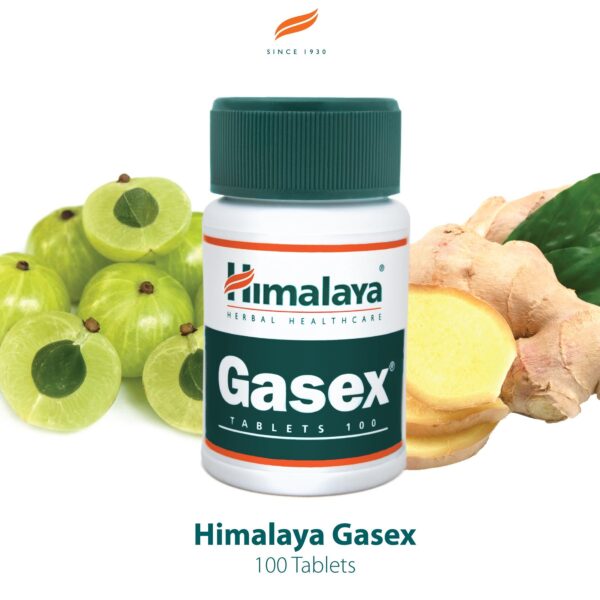 Himalaya Gasex Tablet - Image 2