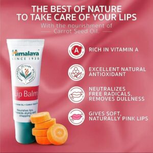 Himalaya lip Balm 5gm.